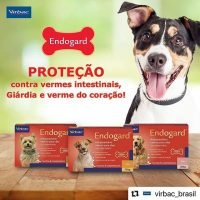 Endogard para Cães até 30 Kg Vermífugo com 6 comprimidos Virbac